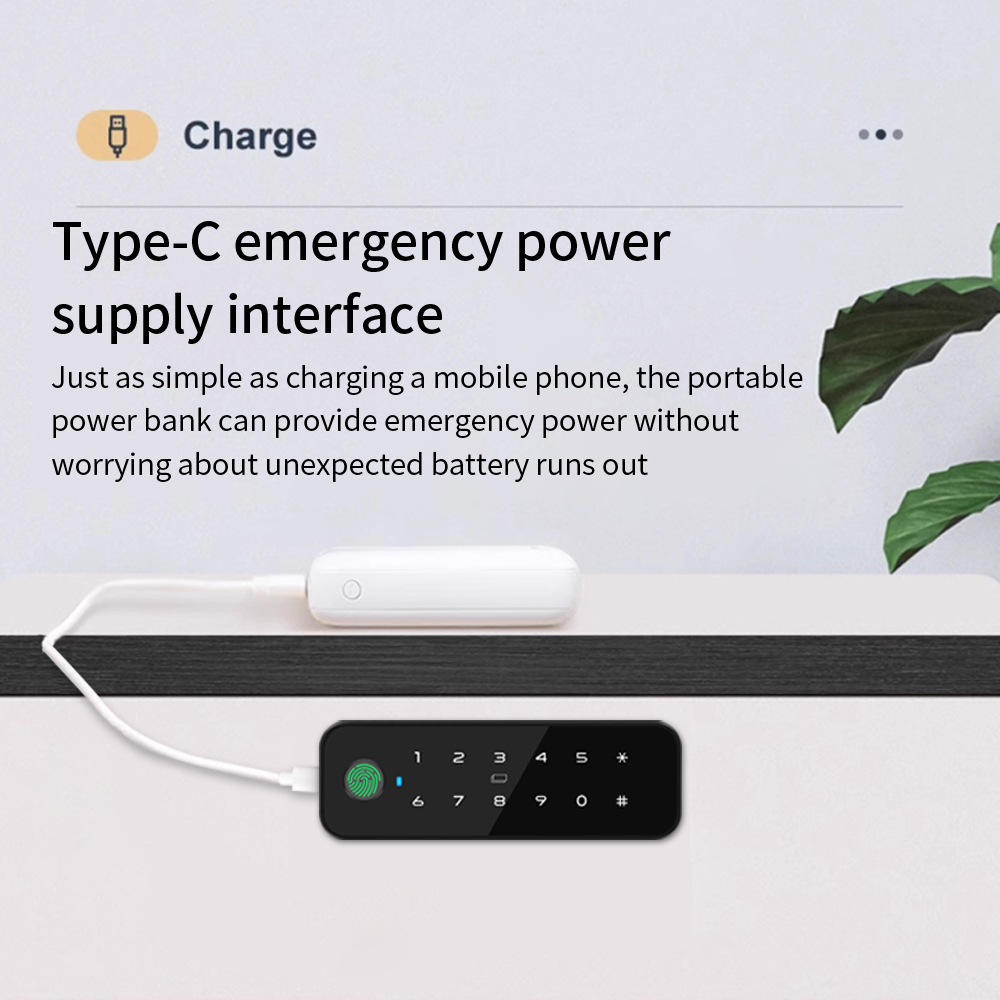 Tuya bluetooth inteligente arm - Cabinet Lock Key avaliação e preço