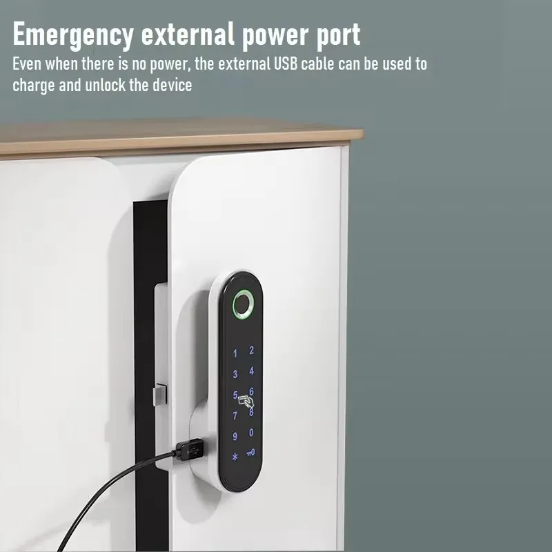Impressão digital Senha Armári - Cabinet Lock Key avaliação e preço